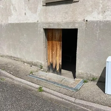Vosgi Loft La Tete Dans Les Montagnes Appartement